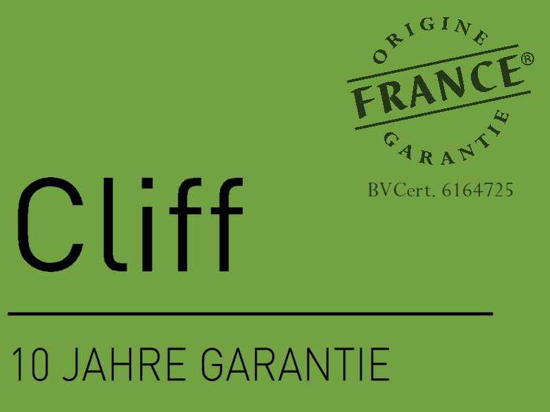 Erard CLIFF 200 starre Flachbildschirm Wandhalterung aus Frankreich