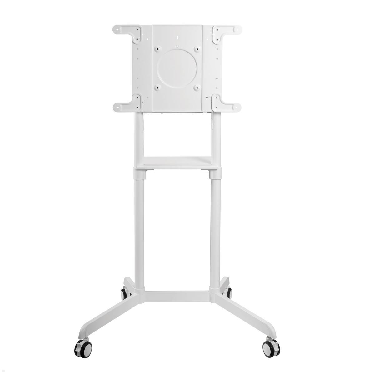 PureMounts PM-CART-80W TV Ständer mit Rollen bis 80 Zoll, weiß