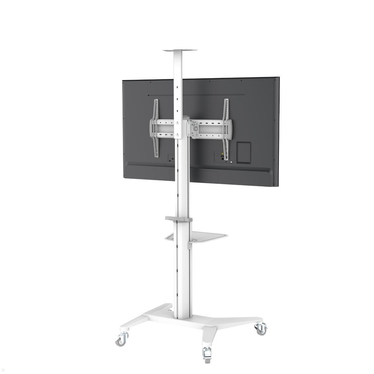 PureMounts PDS-0003C TV Ständer mit Rollen + Ablagen bis 70 Zoll mit Rollen