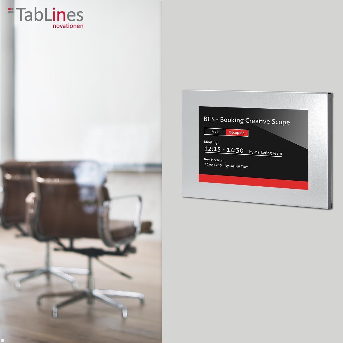 TabLines TSG109S Schutzgehäuse für Samsung Tab S10+ 12.4, silber, Anwendungsbeispiel