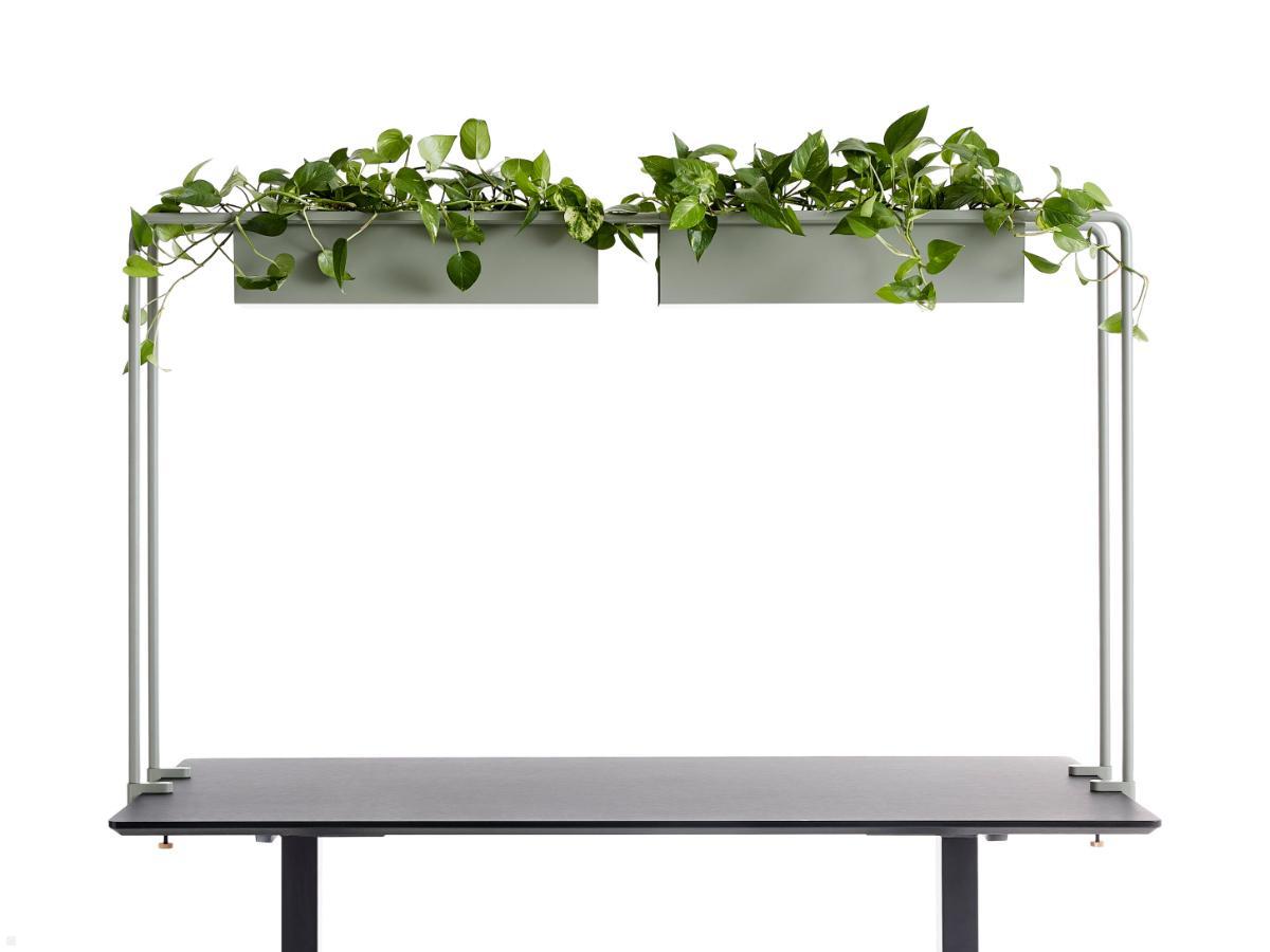 APTO Schreibtisch Halterung für Blumenkästen 160x80x2cm mit Tischklemmen, olivgrün